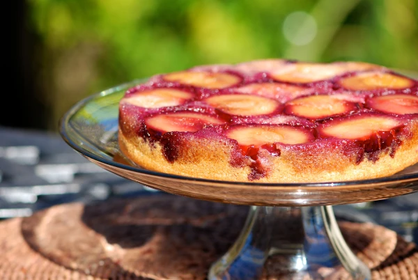 Plum Paradise: Soft Yogurt Cake for a Sweet Mood
