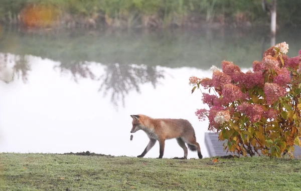 A cyclone is approaching from the west