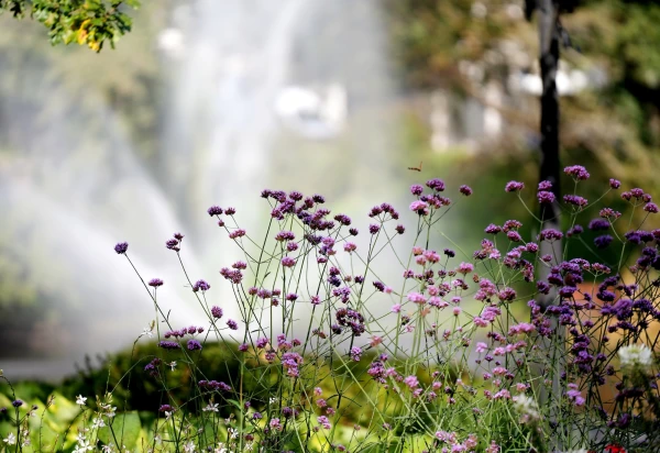 Folk Omens for October 30 — Prophet Hosea