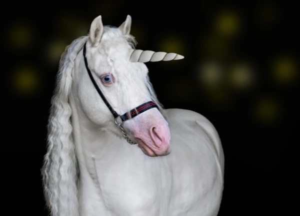 Why Does a Unicorn Need a Horn: A Scientific Look at the Mythical Creature