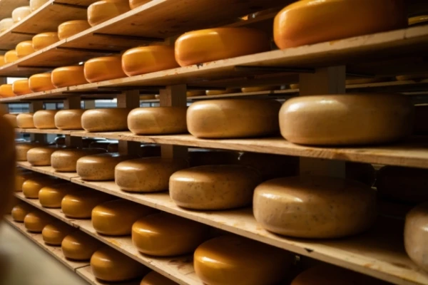 Why Does the U.S. Store Hundreds of Thousands of Tons of Cheese in Underground Mines? We Explain