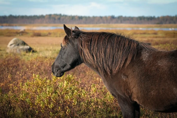 On Friday, weather conditions are determined by a weakening cyclone