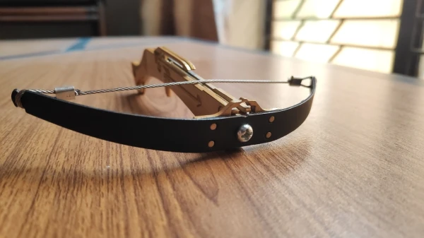 An Attempt to Deliver Prohibited Substances to Valmiera Prison Using a Crossbow