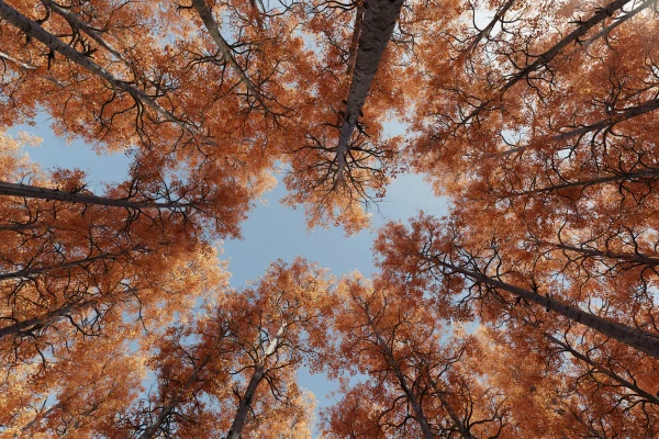 What will the weather be like on the weekend in Latvia? Forecasters have provided a forecast