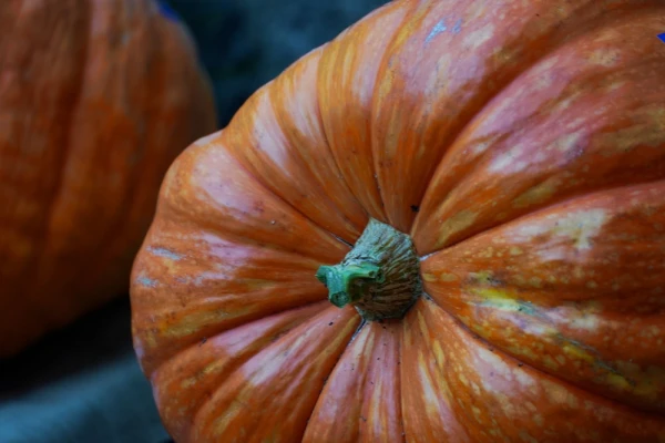 The Circulation of Pumpkins in Nature: Where Latvia Imports and Exports These Berries