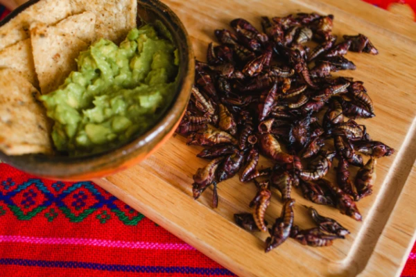 Why do Mexicans still eat grasshoppers?