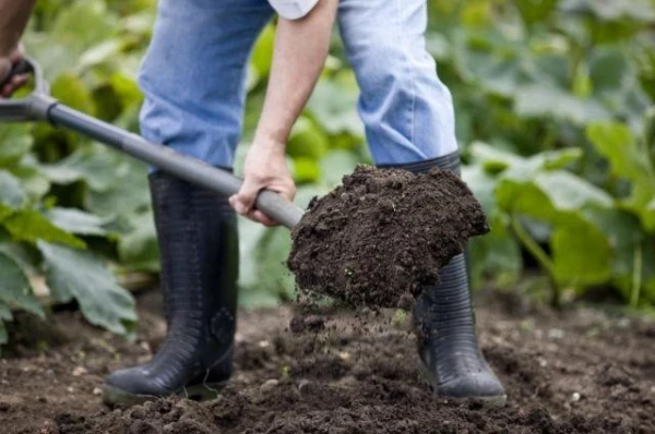 Five Important Autumn Pest Prevention Measures