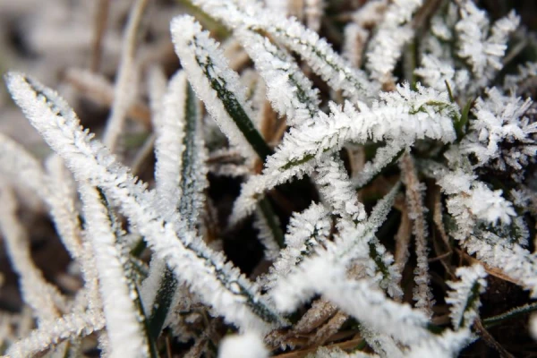 Artemyev Day: Why Our Ancestors Strengthened the Fence on November 2