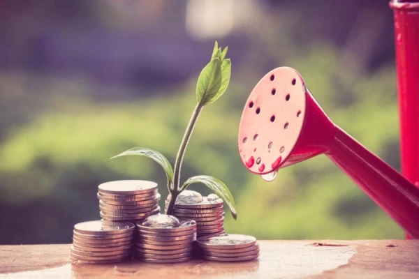 Latvian Paradox: To Attract Investments, Conditions for Entrepreneurs Will Be Tightened