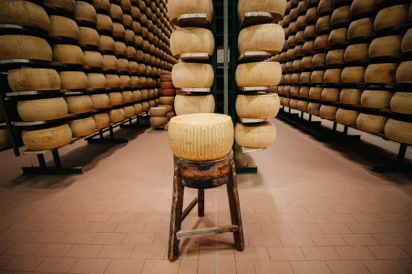 Italian Crime: 200 Wheels of Parmesan Worth 100,000 Euros Stolen in Bologna