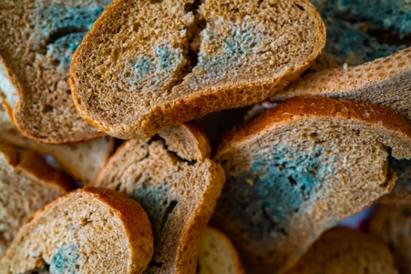 Doctors Dispel Dangerous Myth About Bread
