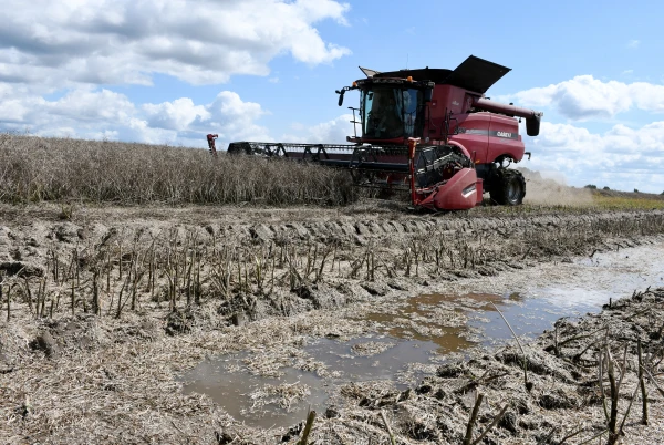 You reap what you sow: Latvian farmers are being "fertilized" with climate subsidies