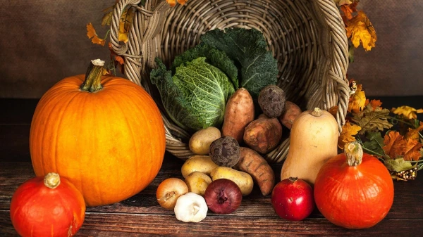 Autumn on a Plate: Foods That Strengthen Health and Immunity
