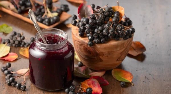 Red or Black: Scientists Evaluate the Benefits of Rowan