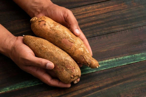 The Most Dangerous Food in the World: What Is Better Not to Try