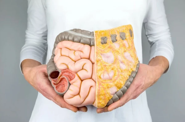 Well-being Begins in the Gut: What Does the Microbiome Like and Dislike?