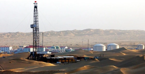 Геологические исследования принесли богатые плоды.