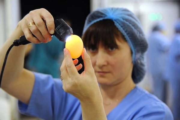 The Refusal of Eggs from Europe Hits Russia