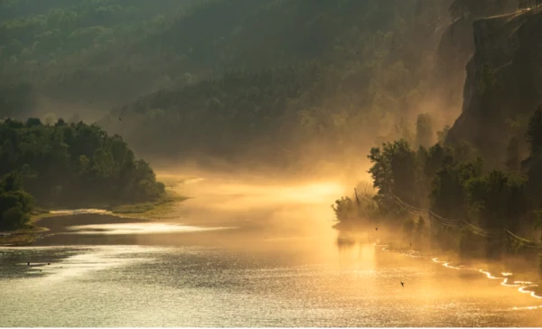 A strong fog is approaching Latvia - forecasters