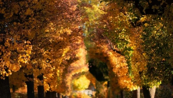 A New Temperature Record Set in Latvia