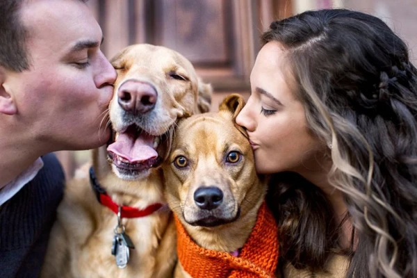 Why Not All Dogs Love Kisses: How Pets Perceive Human Affection