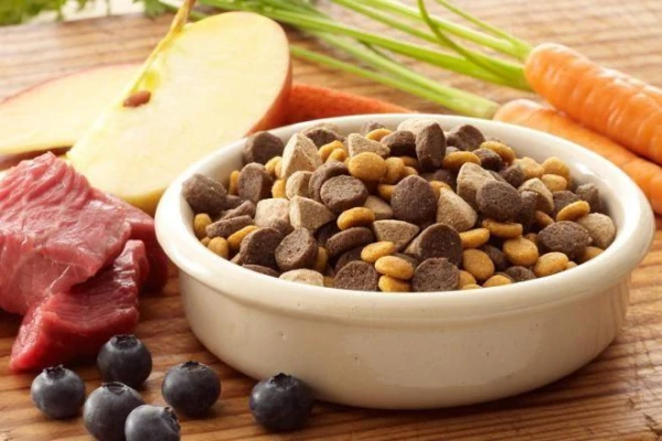 Europe has allowed the use of artificial meat in pet food