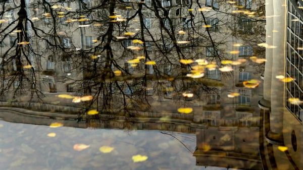 What did you expect in November? The only day off this week will be spoiled