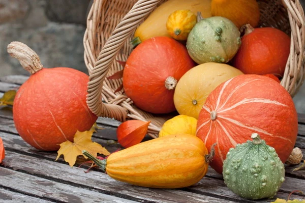 In November, patriot, eat Latvian root vegetables! Farmers launched an unusual initiative