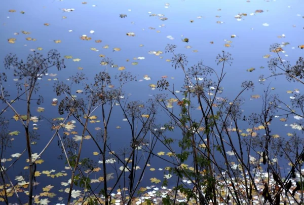 Snow, Ice, Gusty Winds - Forecasters Discuss Weather Changes