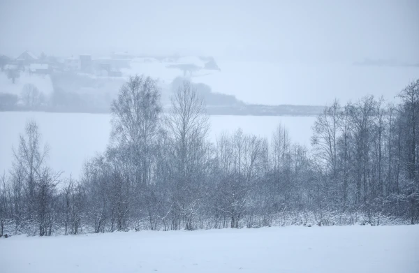 Sentence Announced for Mother of Two-Year-Old Boy Who Frozen to Death in Winter near Rezekne