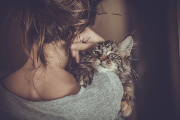 8 Life Lessons from Cats That Every Woman Should Embrace