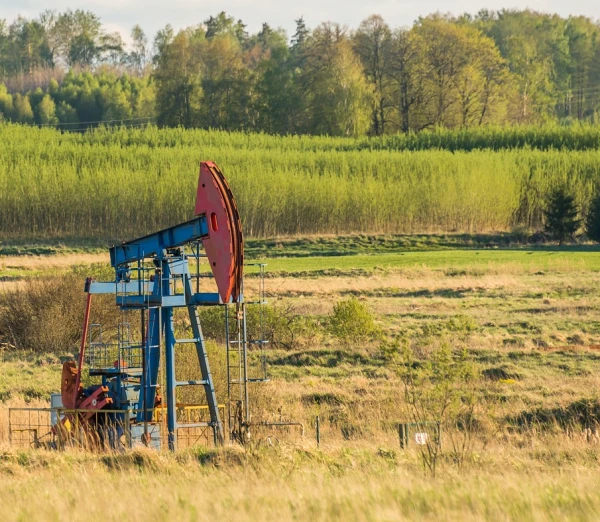 Нефтекачалки оживляют курляндский пейзаж.