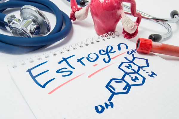 Estrogen and Sexuality: What Happens to the Body When There Is a Deficiency