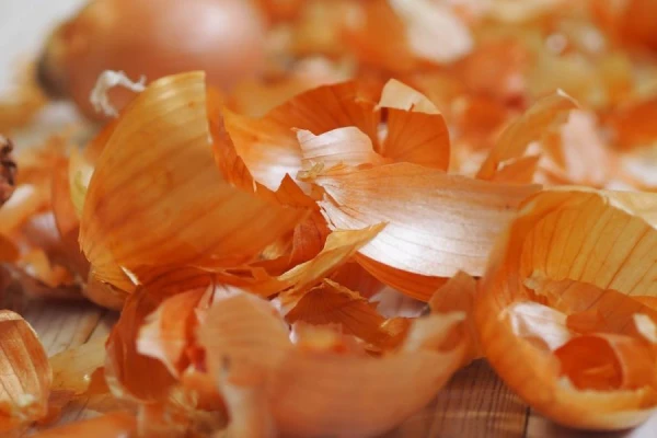 Onion Peel: Healing Tea and Its Medicinal Properties