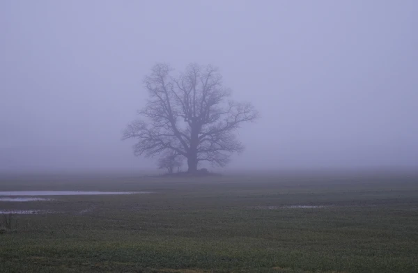 No significant precipitation is expected on Wednesday