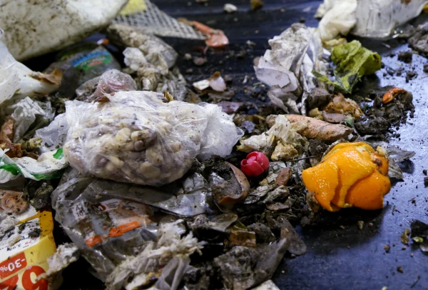 Food Waste Turned into Criminal Case: Damage to the State — 1.85 Million Euros