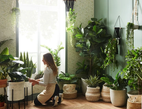 A True Oasis: Why Everyone Has Started Massively Growing Houseplants