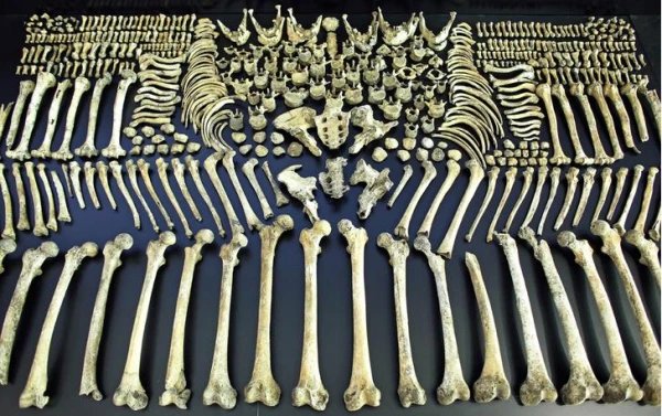 The Origins of the Expression “to Wash the Bones”