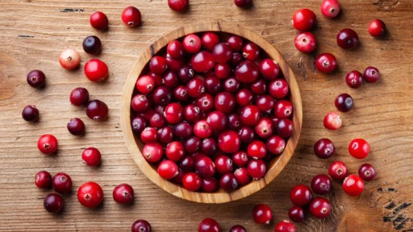 Winter Source of Vitamins. Five Reasons to Consume Cranberries Daily