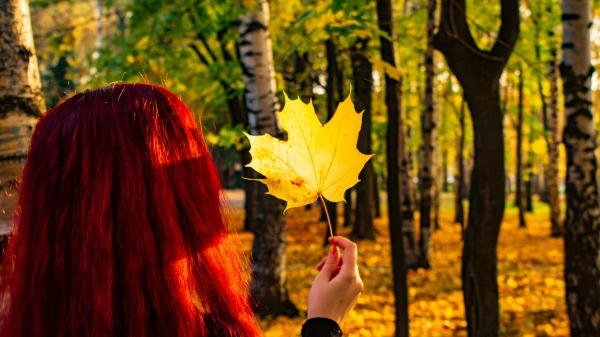 In Latvia, 20 temperature records were broken in one day