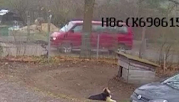 Do you recognize this van? A man in Ziepniekkalns tried to lure a child into his car