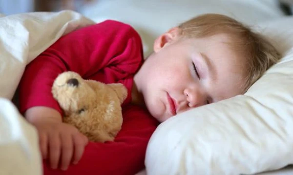 How Much Sleep Do We Really Need: A Scientist's Perspective