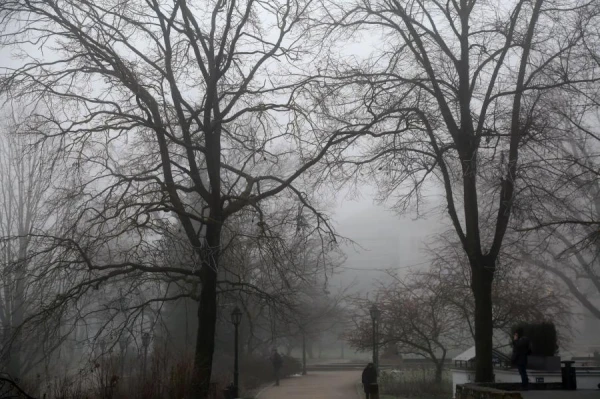 Cloudy and damp - this is the best that meteorologists can report about Sunday