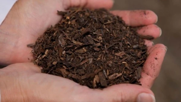 Жители американского Запада будут ближе к земле.