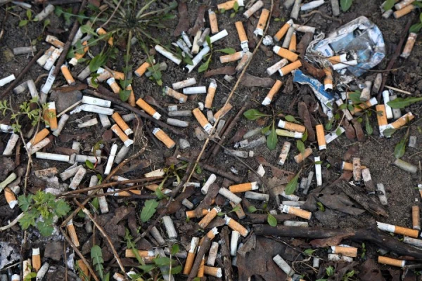 Fines in the EU Capital Increased Sharply: Up to 3,000 Euros for a Discarded Cigarette Butt