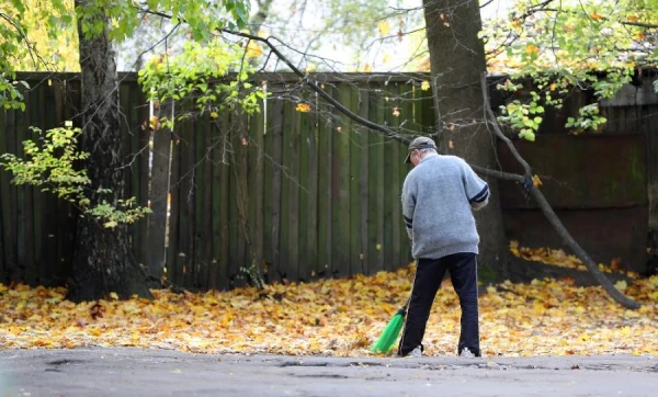 The Artel 'United Janitor'. Why Janitors Are Being Fired and Whether They Can Be Returned to How It Was