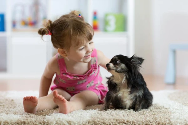 Children Prefer Dogs to Their Siblings