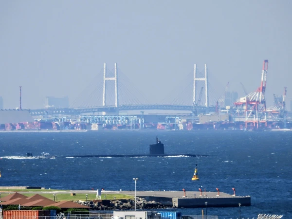 Submarines for Seoul Will Trigger 'Nuclear Domino' in the Region - DPRK