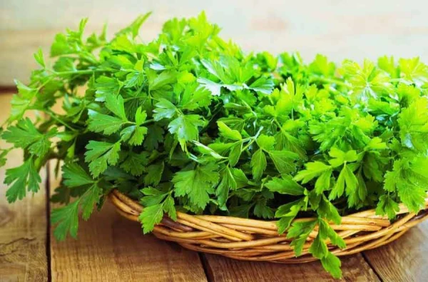 Doctors Highlight Foods That Increase the Risk of Thrombosis