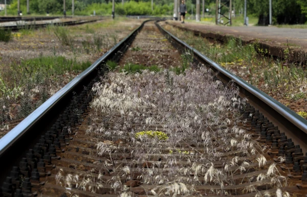 Dismantle these tracks with the Russian gauge already – expert from the USA